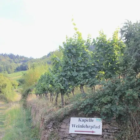 Сasa de vacaciones Friends And Family