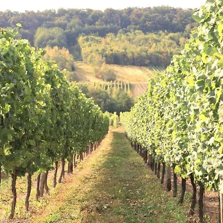 Friends And Family Σπίτι διακοπών Leiwen