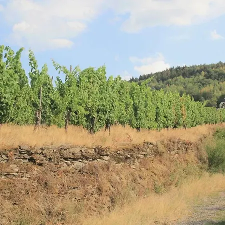 Friends And Family * Leiwen