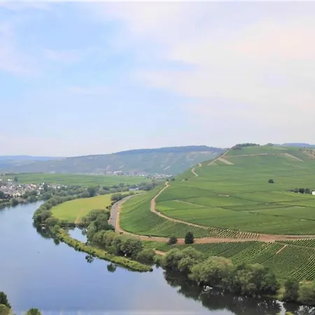 Friends And Family Leiwen