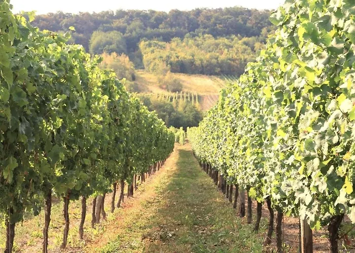 Friends&family Ferienhaus Leiwen