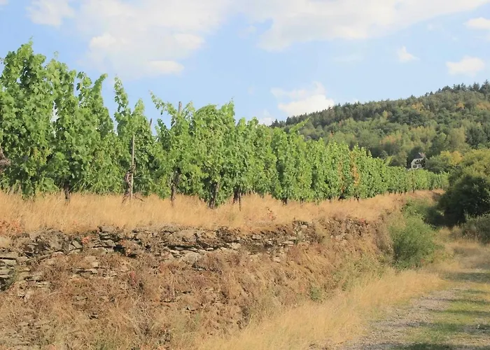 Friends And Family * Leiwen