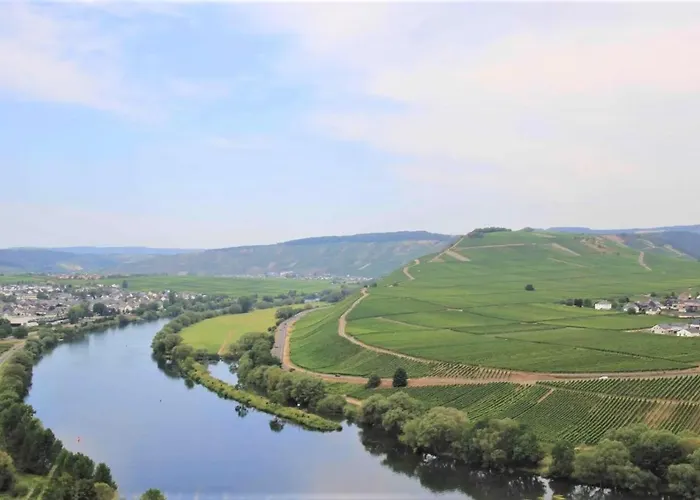Friends And Family Leiwen